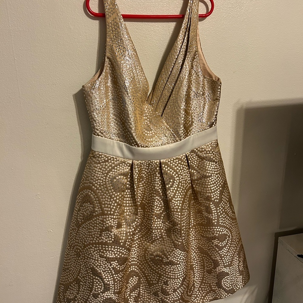 Graduation/Occasion Dress